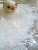 2011-03-22 22:46:48 by ݂₵イ