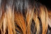 hair colour before by Chihooooooo