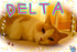 DELTA