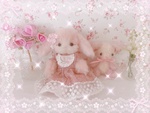 pinky.kanae