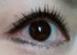 2011-03-24 01:28:35 by G񂳂