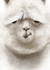 ݂䂫储