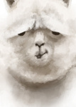 ݂䂫储