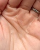 IMG_3352.jpeg