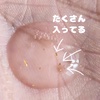 IMG_20241005_133540_476.jpg