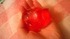 2012-05-18 20:19:13 by **