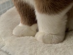 8