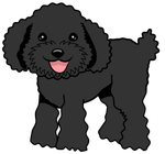 R`R`