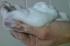 2012-02-26 16:12:22 by mono@