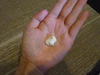 2011-10-15 13:09:26