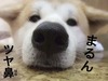 na-na-chi