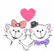 ݂̂(B֥B)