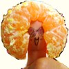 micacocami