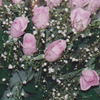 vv1995