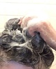 2023-08-19 16:19:17 by haruru􂳂