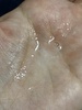IMG_2420.jpeg