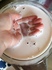 2016-02-28 11:00:05 by ݂񂳂