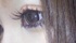 2012-02-15 15:41:24 by Lmama
