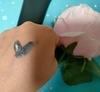 IMG20250510222617~2.jpg