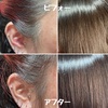 IMG_6529.jpeg