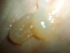 2014-04-06 12:27:51 by ݂MIN