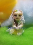ETM̐Ⴞ܂