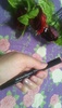 2022-08-22 11:16:41 by Ƃ݂񁙁
