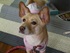 2012-05-26 14:46:27 by wan