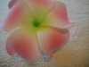 fumi-cosme