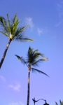 ̂VK[