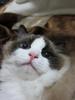 moumou000