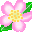 hana-dai