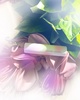 2024-10-16 10:16:26 by say9