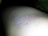 2012-12-23 23:04:57 by soramusic!