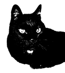 黒猫ルーシーさん