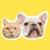 mikichi.9