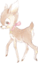 macaron19