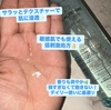 2025-05-11 02:37:29 by Maripuuu