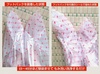 Collage_2024-07-19_1c by ~NK[