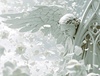 Puredistance / DIVANCHEiby doggyhonzawaj