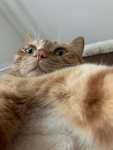 *AW*