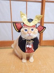 miyasou10