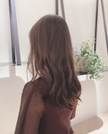 maple_lov