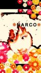 Narco*さん