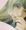るんるんちゃん♪さん