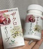 IMG_9033.jpeg