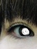 2021-02-20 01:15:20 by iiii݂炢iiii