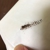 2021-03-22 15:35:35 by iiii݂炢iiii