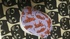 DSC_1831.JPG by minyax