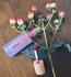 1000018659.jpg by as